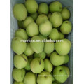 Shandong Pears Big Sizes